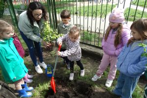 Dziewczynka  pogłębia dołek w ziemi pod krzew plastikowym szpadlem