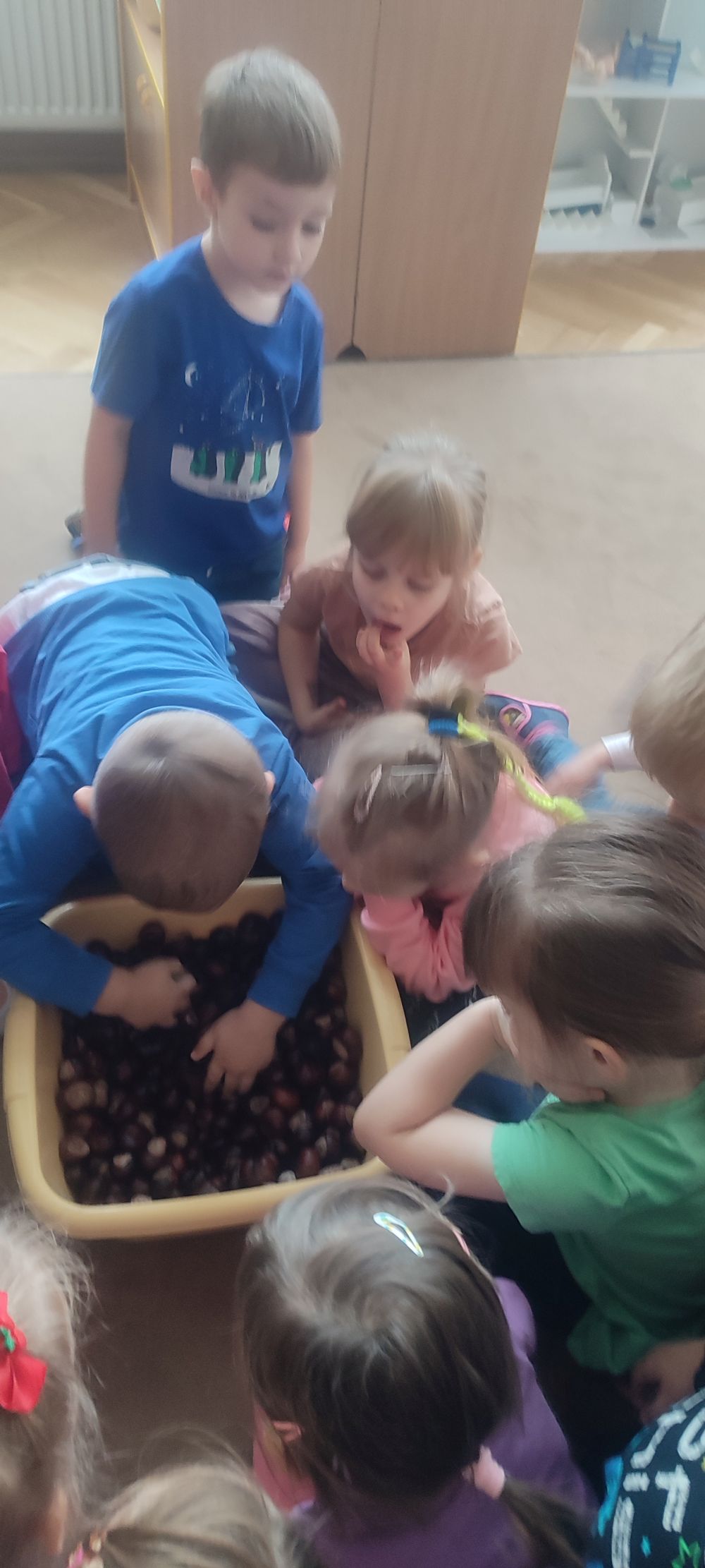 Chłopiec szuka kartki w pojemniku z kasztanami. Inne dzieci patrzą